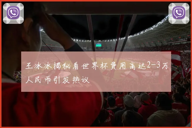 王冰冰揭秘看世界杯费用高达2-3万人民币引发热议